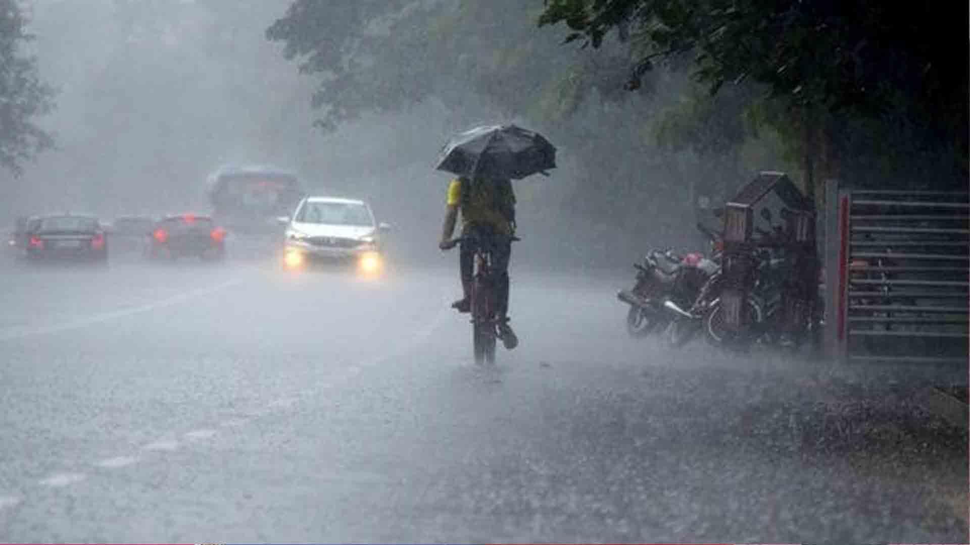 ഇന്നലെ ഏറ്റവും കൂടുതൽ മഴ രണ്ട് ജില്ലകളില്; കാലവർഷം കൂടുതൽ ശക്തമാകും