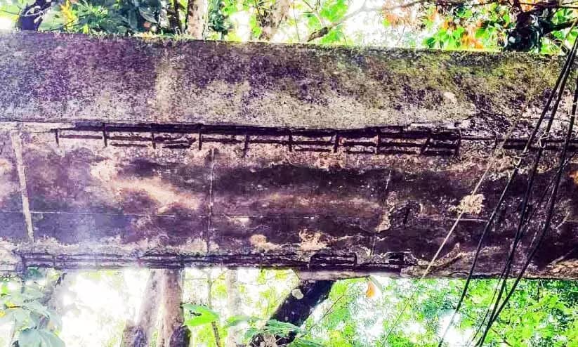 അപകടഭീഷണിയായി പെരിയാർവാലി കനാൽ; വെസ്റ്റ് മുളവൂരിലെ അക്വഡക്ടും അപകടാവസ്ഥയിൽ