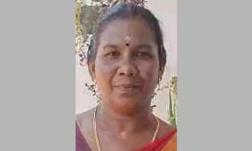 ഒഴുക്കിൽപെട്ട കൊച്ചുമകനെ രക്ഷിച്ച മുത്തശ്ശി തിരികെ കയറാനാകാതെ മുങ്ങിമരിച്ചു