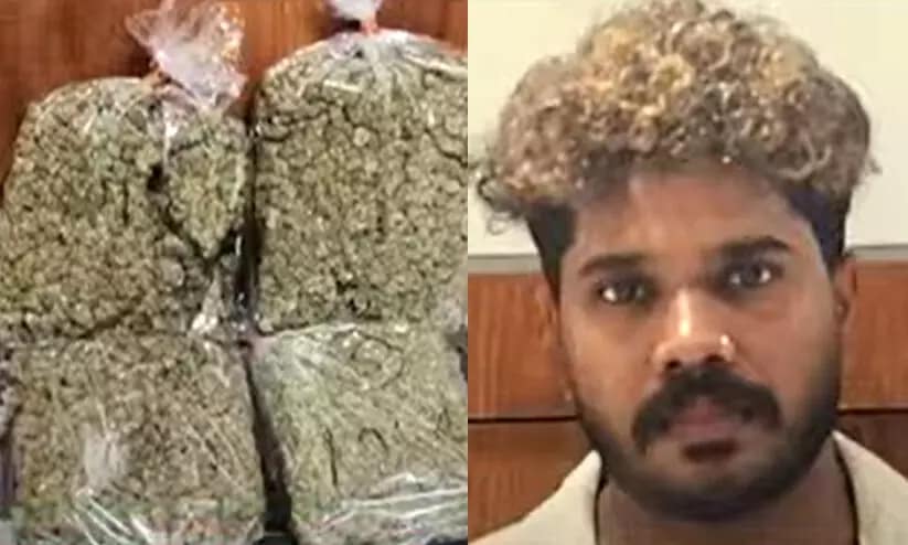 കൊച്ചി വിമാനത്താവളത്തിൽ വൻ കഞ്ചാവുവേട്ട