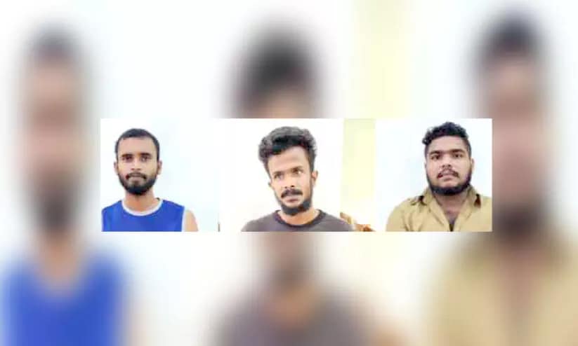 ഹഷീഷ് ഓയിലുമായി മൂന്ന് യുവാക്കൾ അറസ്റ്റിൽ